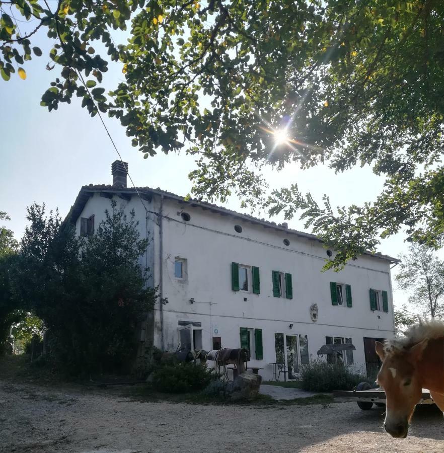 Monte Termine Country House Rioveggio Extérieur photo